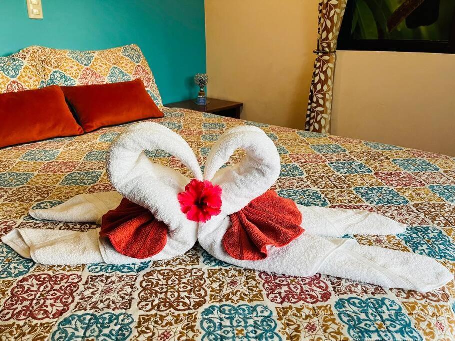 Tucantico Lodge - Monteverde Екстериор снимка